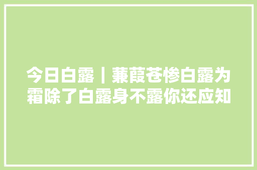 今日白露｜蒹葭苍惨白露为霜除了白露身不露你还应知道这些