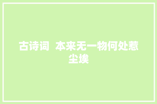 古诗词  本来无一物何处惹尘埃