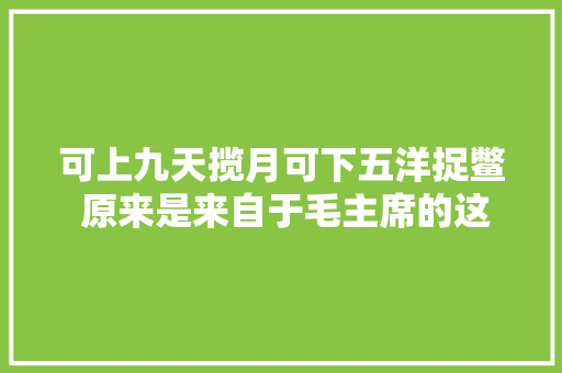 可上九天揽月可下五洋捉鳖 原来是来自于毛主席的这首经典诗词