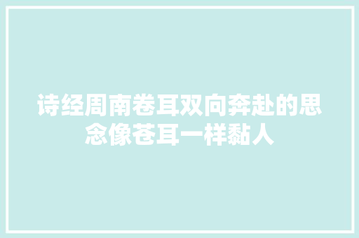 诗经周南卷耳双向奔赴的思念像苍耳一样黏人