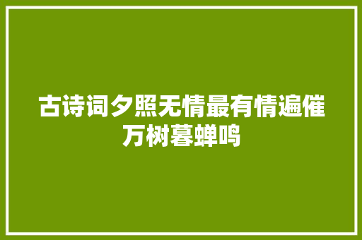 古诗词夕照无情最有情遍催万树暮蝉鸣