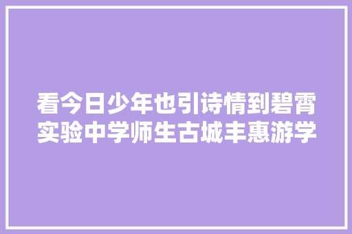 看今日少年也引诗情到碧霄实验中学师生古城丰惠游学路上品诗词