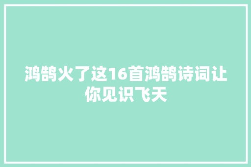 鸿鹄火了这16首鸿鹄诗词让你见识飞天