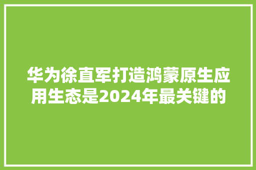 华为徐直军打造鸿蒙原生应用生态是2024年最关键的工作