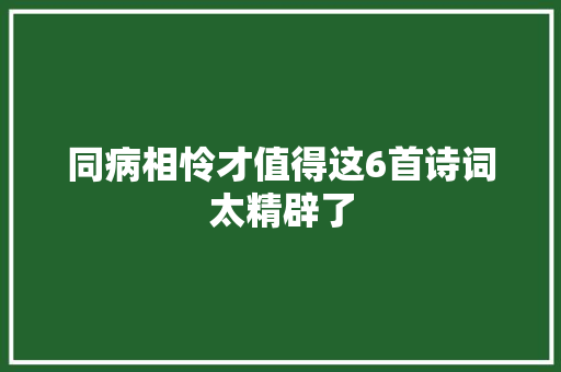 同病相怜才值得这6首诗词太精辟了