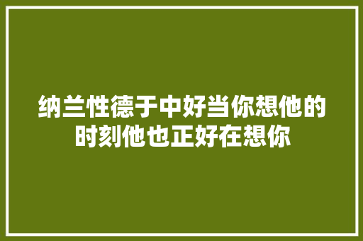 纳兰性德于中好当你想他的时刻他也正好在想你