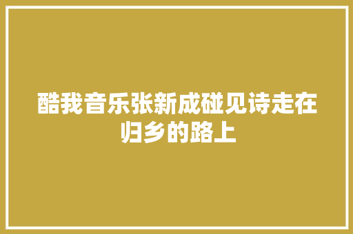 酷我音乐张新成碰见诗走在归乡的路上