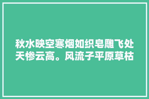 秋水映空寒烟如织皂雕飞处天惨云高。风流子平原草枯矣