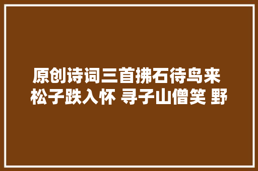 原创诗词三首拂石待鸟来 松子跌入怀 寻子山僧笑 野花含露开