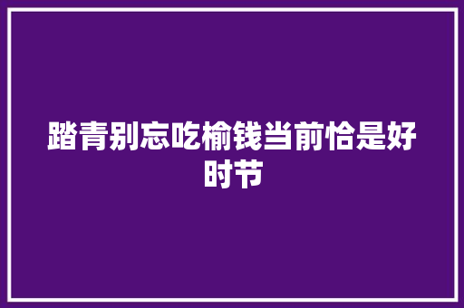 踏青别忘吃榆钱当前恰是好时节