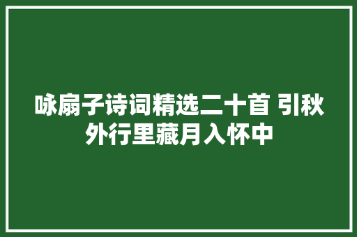 咏扇子诗词精选二十首 引秋外行里藏月入怀中