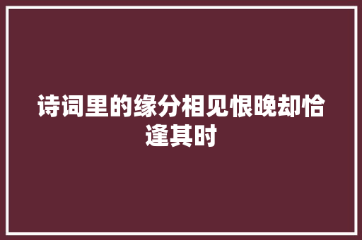 诗词里的缘分相见恨晚却恰逢其时