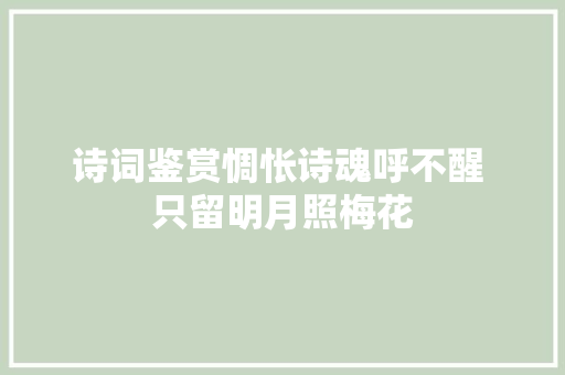 诗词鉴赏惆怅诗魂呼不醒 只留明月照梅花