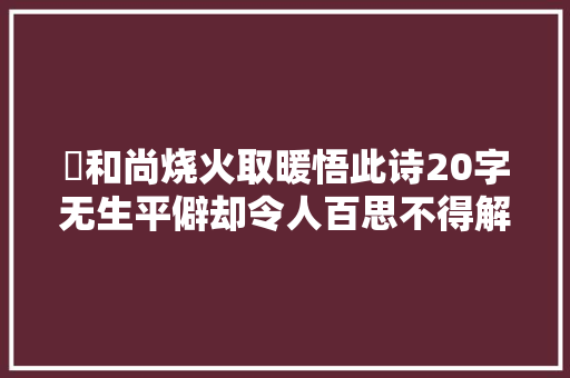 ​和尚烧火取暖悟此诗20字无生平僻却令人百思不得解成大年夜宗师