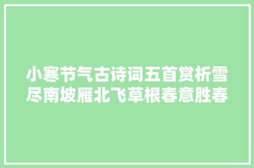 小寒节气古诗词五首赏析雪尽南坡雁北飞草根春意胜春晖