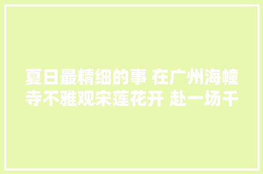 夏日最精细的事 在广州海幢寺不雅观宋莲花开 赴一场千年之约