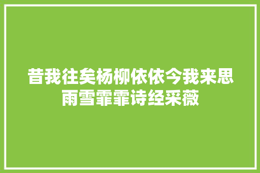 昔我往矣杨柳依依今我来思雨雪霏霏诗经采薇
