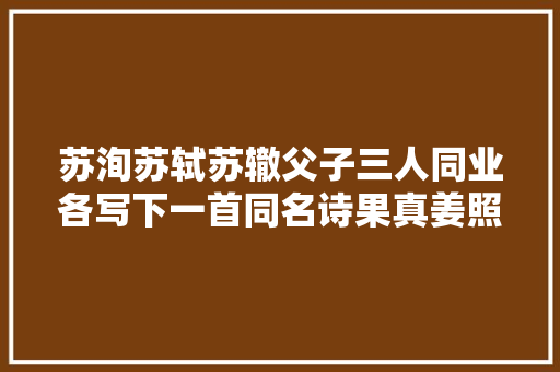 苏洵苏轼苏辙父子三人同业各写下一首同名诗果真姜照样老的辣