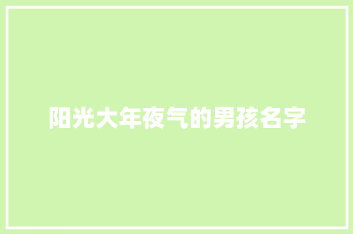 阳光大年夜气的男孩名字
