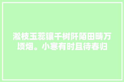 淞枝玉蕊镶千树阡陌田畴万顷烟。小寒有时且待春归
