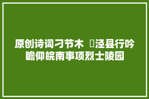 原创诗词刁节木  ​泾县行吟瞻仰皖南事项烈士陵园