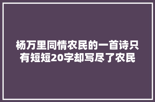 杨万里同情农民的一首诗只有短短20字却写尽了农民凶年心酸