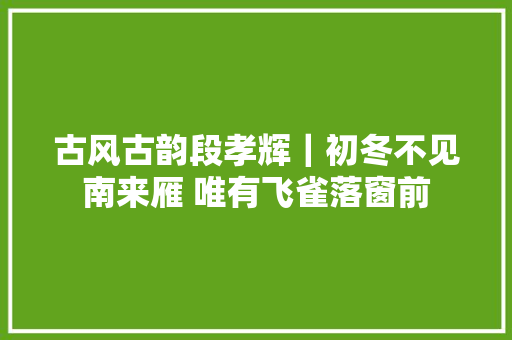 古风古韵段孝辉｜初冬不见南来雁 唯有飞雀落窗前