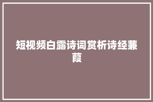 短视频白露诗词赏析诗经蒹葭