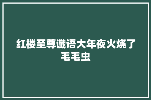 红楼至尊谶语大年夜火烧了毛毛虫