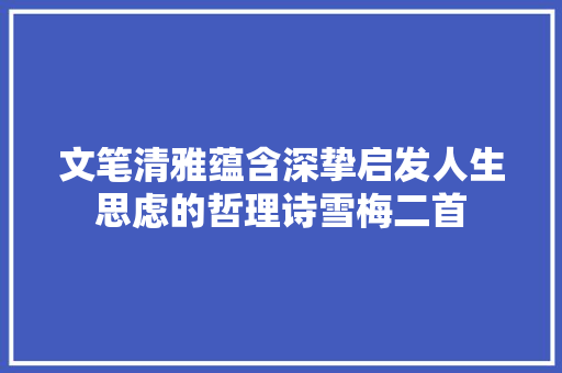 文笔清雅蕴含深挚启发人生思虑的哲理诗雪梅二首