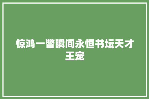 惊鸿一瞥瞬间永恒书坛天才王宠