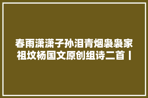 春雨潇潇子孙泪青烟袅袅家祖坟杨国文原创组诗二首丨清明