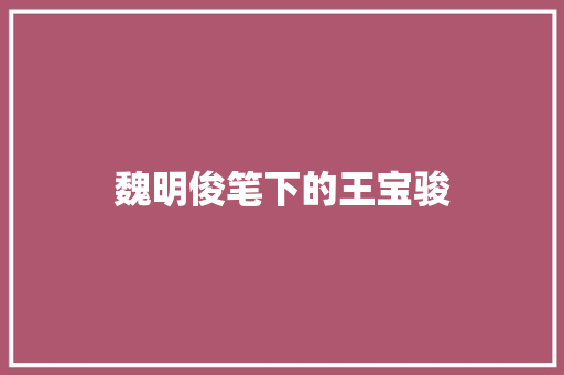 魏明俊笔下的王宝骏