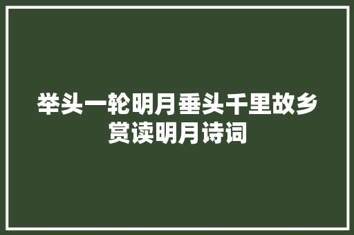 举头一轮明月垂头千里故乡赏读明月诗词