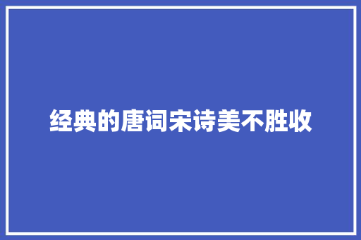 经典的唐词宋诗美不胜收
