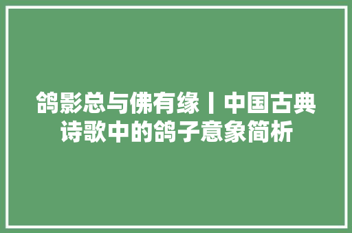 鸽影总与佛有缘丨中国古典诗歌中的鸽子意象简析