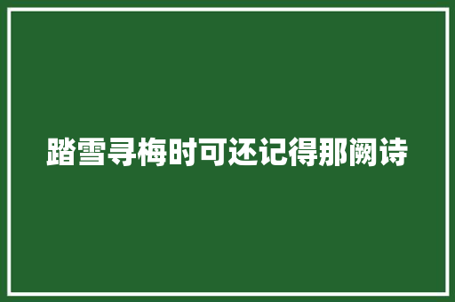 踏雪寻梅时可还记得那阙诗