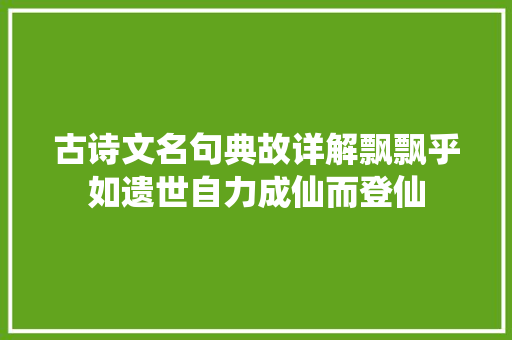 古诗文名句典故详解飘飘乎如遗世自力成仙而登仙
