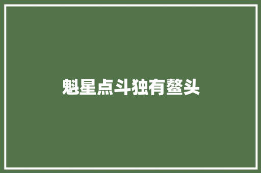 魁星点斗独有鳌头
