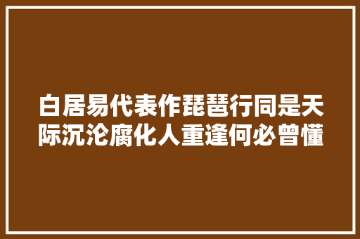 白居易代表作琵琶行同是天际沉沦腐化人重逢何必曾懂得