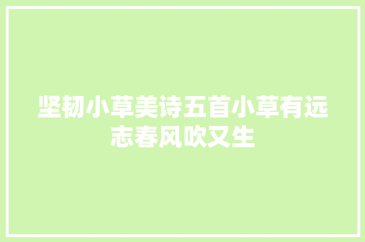 坚韧小草美诗五首小草有远志春风吹又生