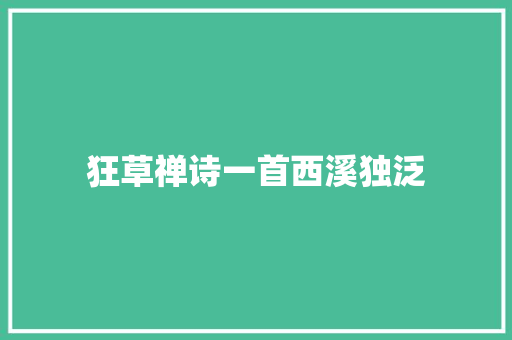 狂草禅诗一首西溪独泛