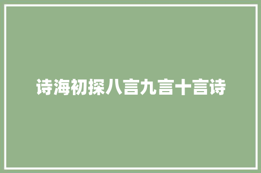 诗海初探八言九言十言诗