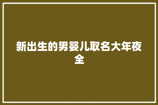 新出生的男婴儿取名大年夜全