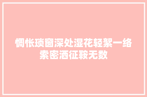 惆怅琐窗深处湿花轻絮一络索密洒征鞍无数