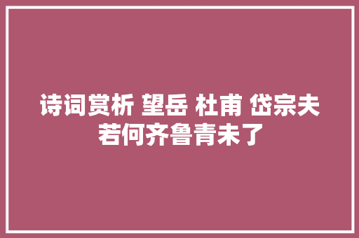 诗词赏析 望岳 杜甫 岱宗夫若何齐鲁青未了
