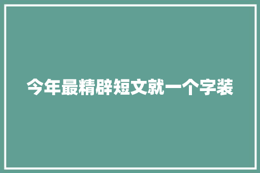 今年最精辟短文就一个字装