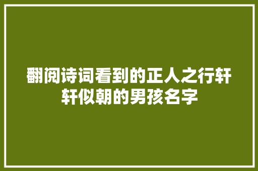 翻阅诗词看到的正人之行轩轩似朝的男孩名字