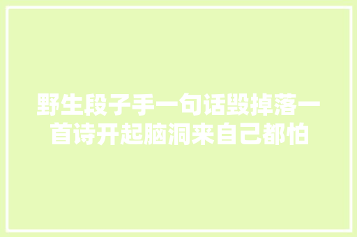 野生段子手一句话毁掉落一首诗开起脑洞来自己都怕