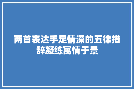 两首表达手足情深的五律措辞凝练寓情于景
